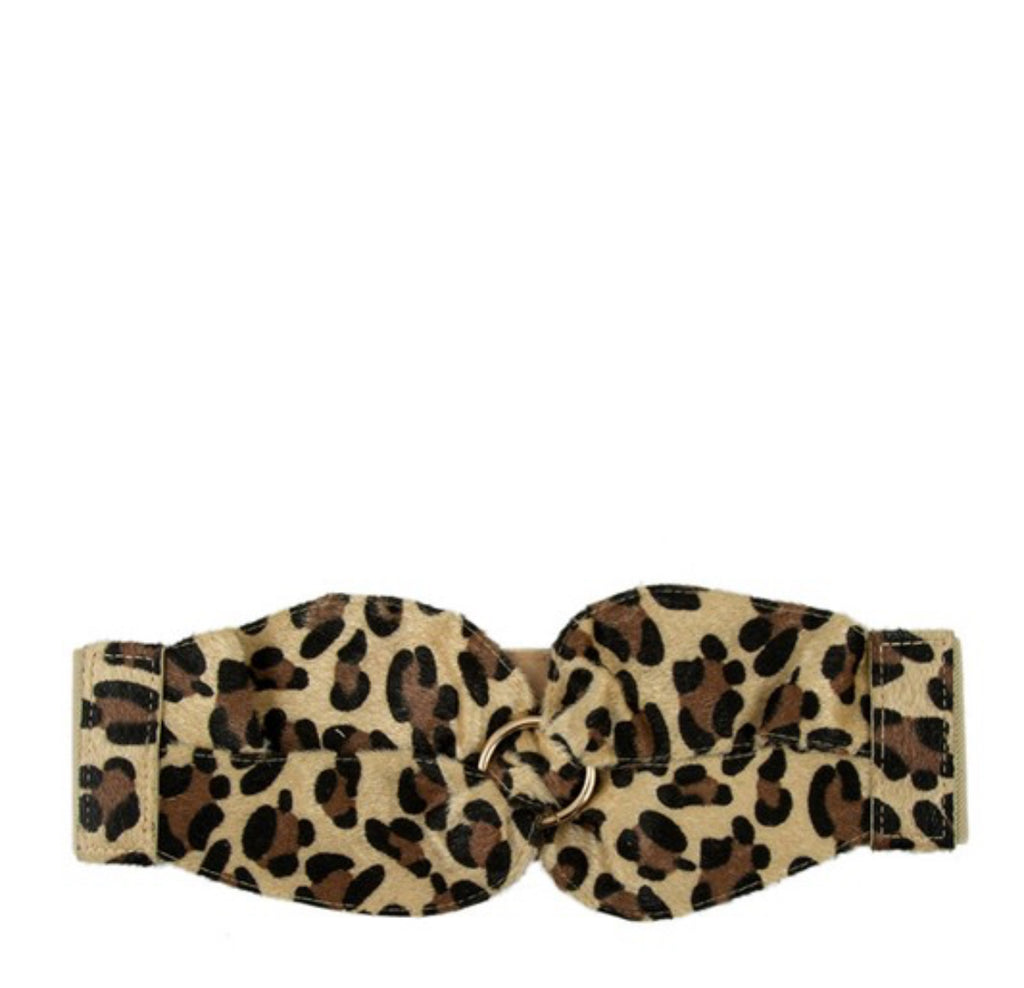 Fajón leopardo
