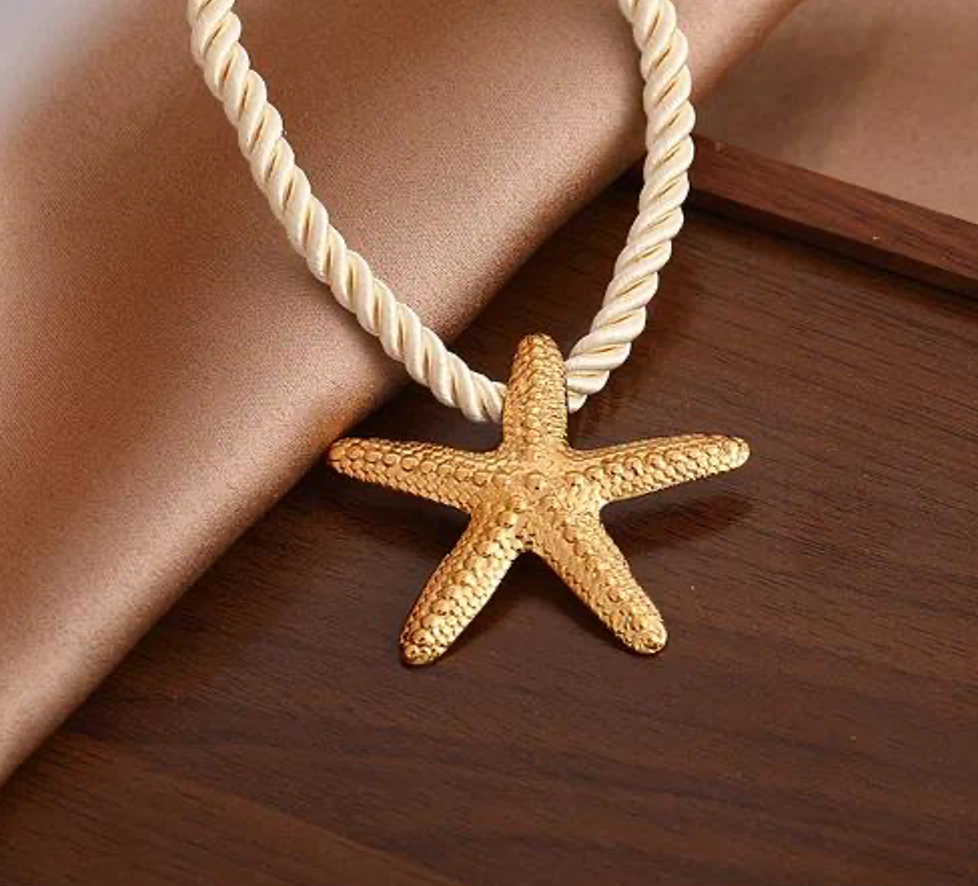 Concha de estrella de mar