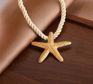Concha de estrella de mar